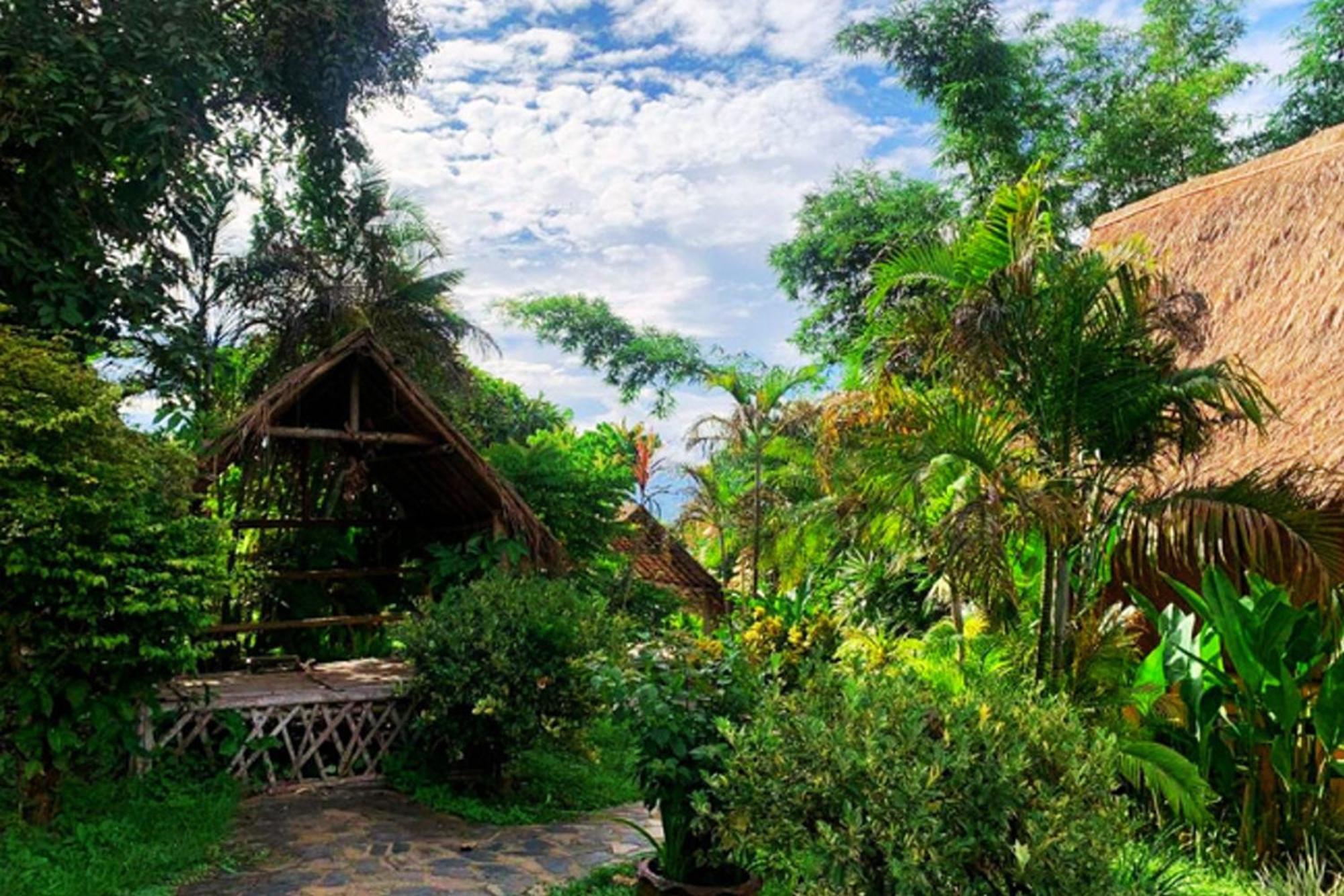Hotel Old Tree'S House Mae Ai Esterno foto